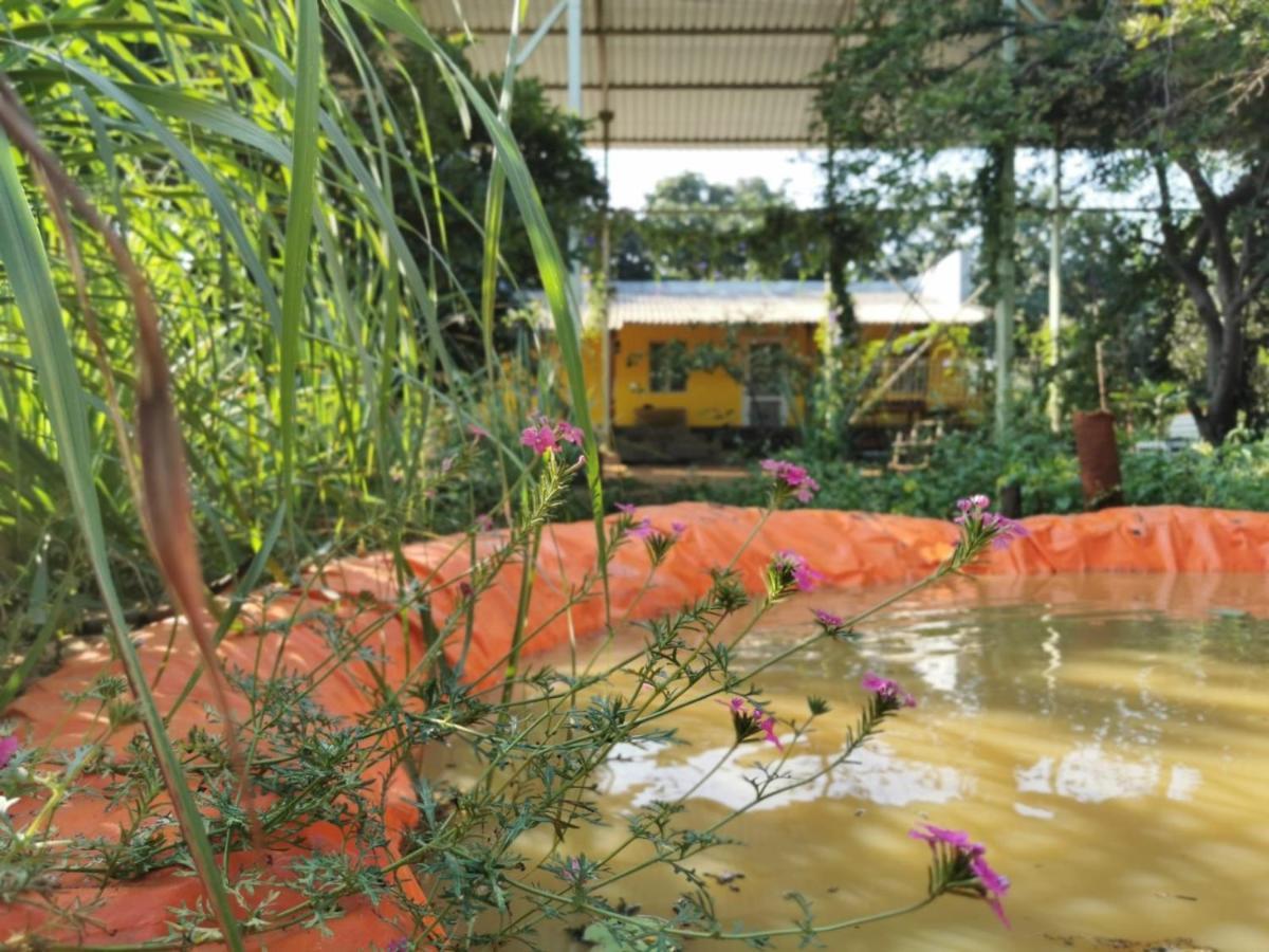 Hornbill Farm Resort Hyderabad Eksteriør billede