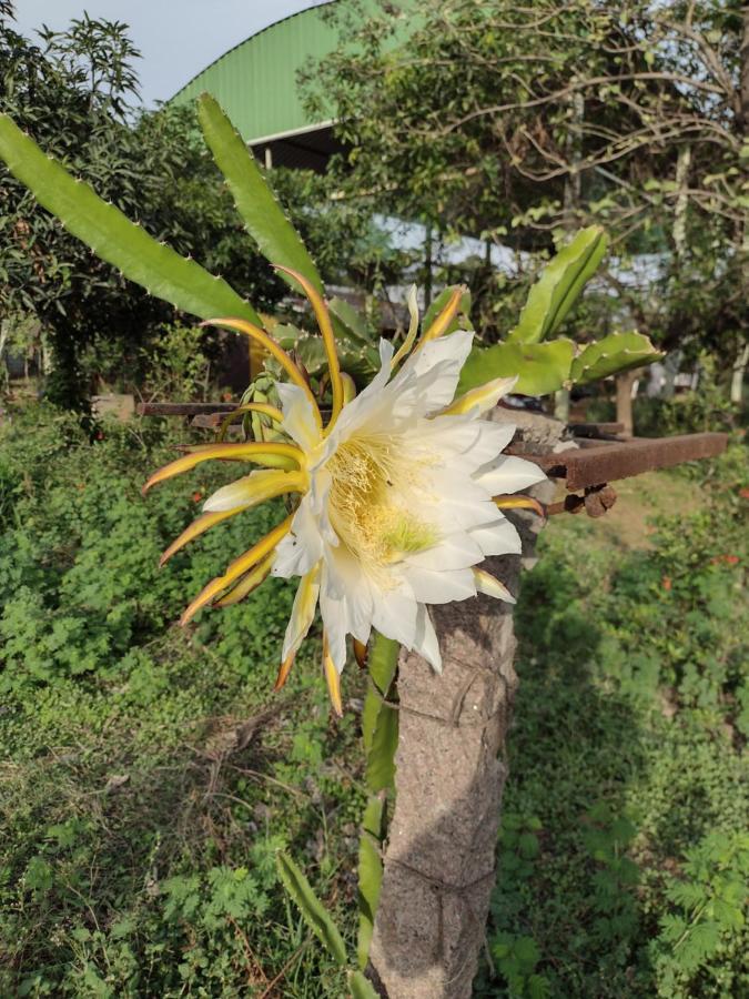 Hornbill Farm Resort Hyderabad Eksteriør billede